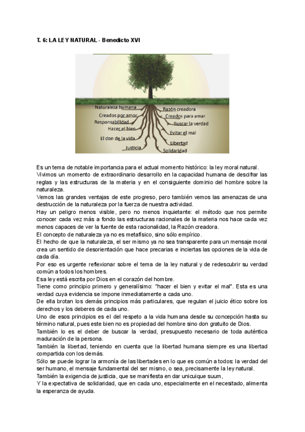 Miniatura del documento TEMA-6.pdf