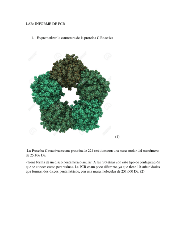 Miniatura del documento PCR-LAB.pdf