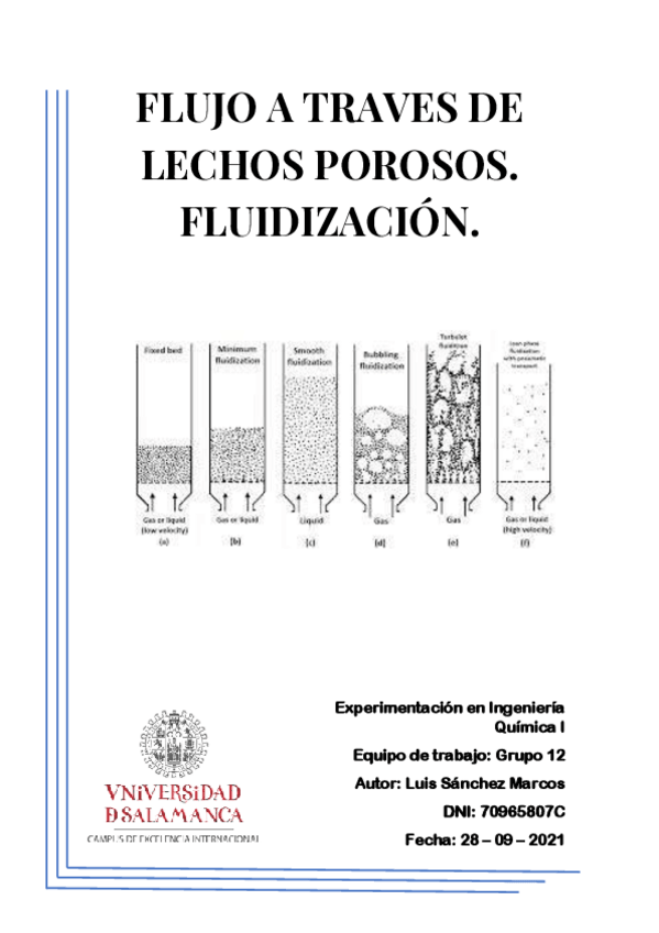 Miniatura del documento Flujo-a-traves-de-lechos-porosos.pdf