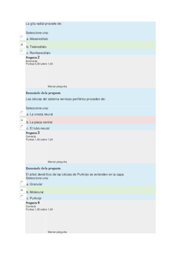 Miniatura del documento EXAMEN-2.pdf