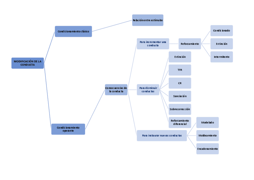 Miniatura del documento esquemamodificacionconducta.pdf