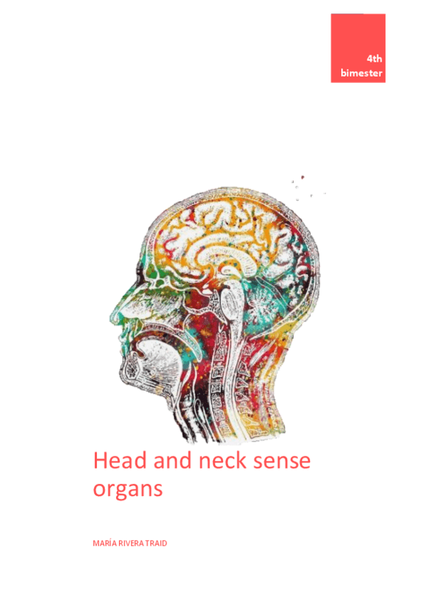 Miniatura del documento HEAD-AND-NECK-PDF.pdf
