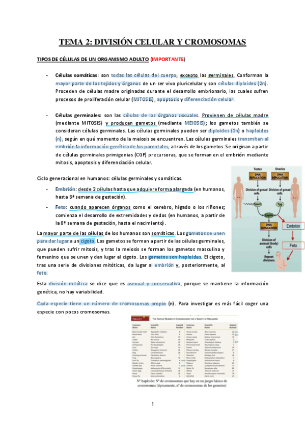 Miniatura del documento Tema-2-Division-Celular-y-Cromosomas.pdf