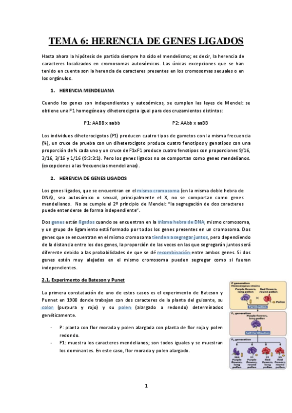 Miniatura del documento Tema-6-Herencia-de-genes-ligados.pdf