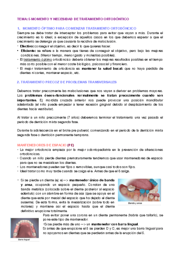 Miniatura del documento tema-5-orto-bueno.pdf