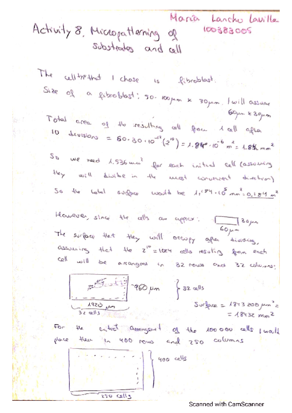 Miniatura del documento 8-MicropattreningOfSubstratesAndCellActivityMariaLanchoLavilla.pdf
