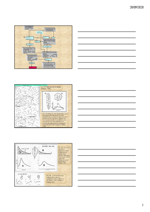 Miniatura del documento 1.pdf