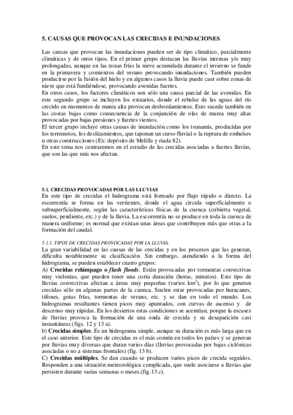 Miniatura del documento causesinundacions.pdf