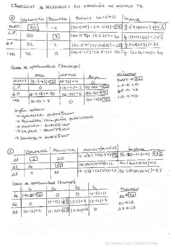 Miniatura del documento EJERCICIOS-DECISION-EN-SITUACION-DE-RIESGO-.pdf