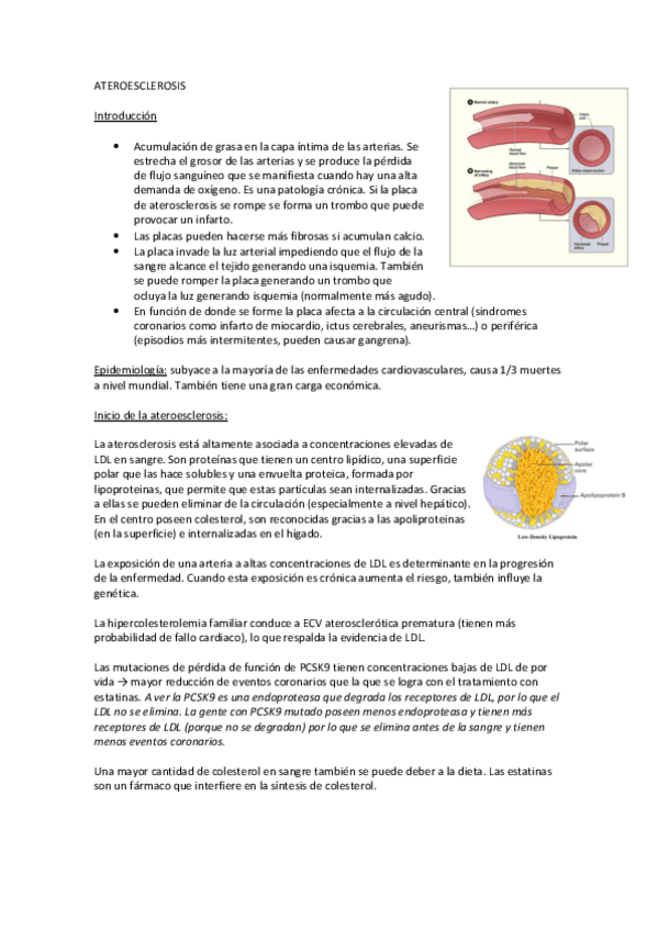 Miniatura del documento T10-aterosclerosis.pdf