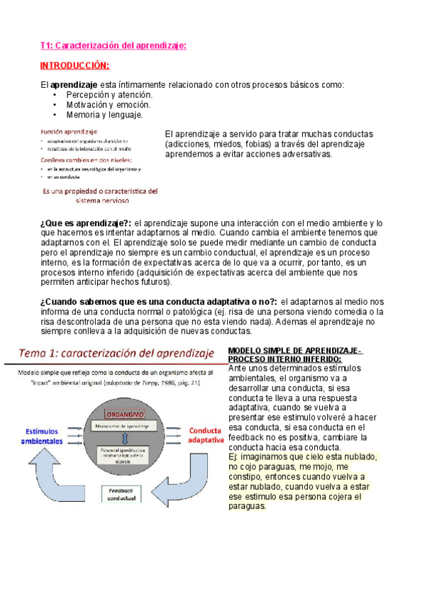 Miniatura del documento teoria-aprendizaje.pdf
