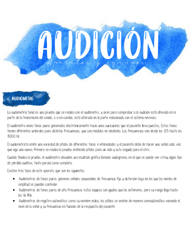 Miniatura del documento AUDICION.pdf
