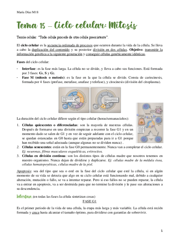 Miniatura del documento t15.pdf