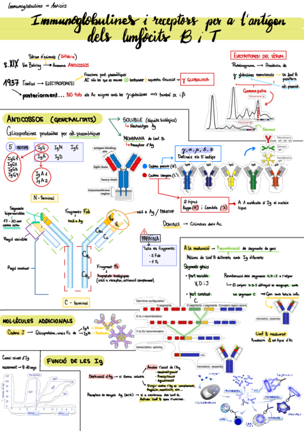 Miniatura del documento Immunologia.pdf