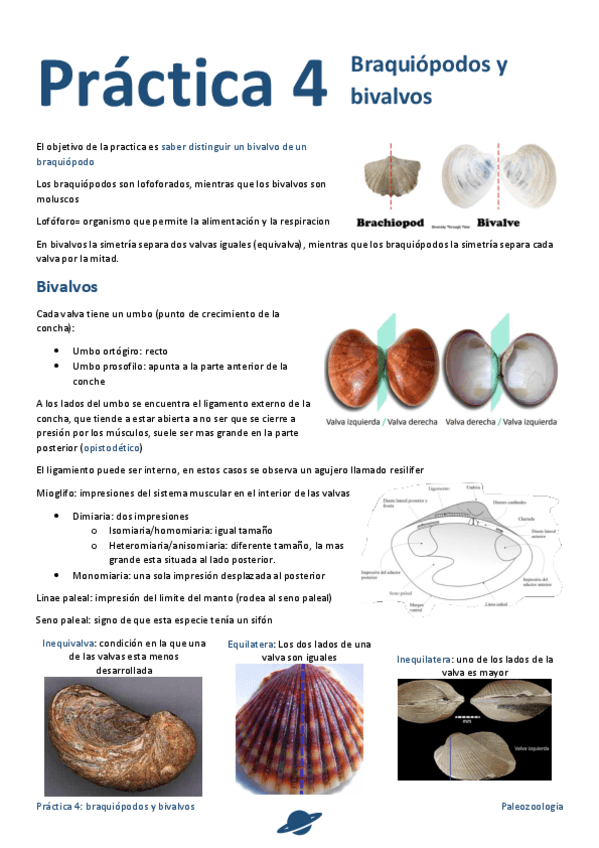 Miniatura del documento Practica-4.pdf