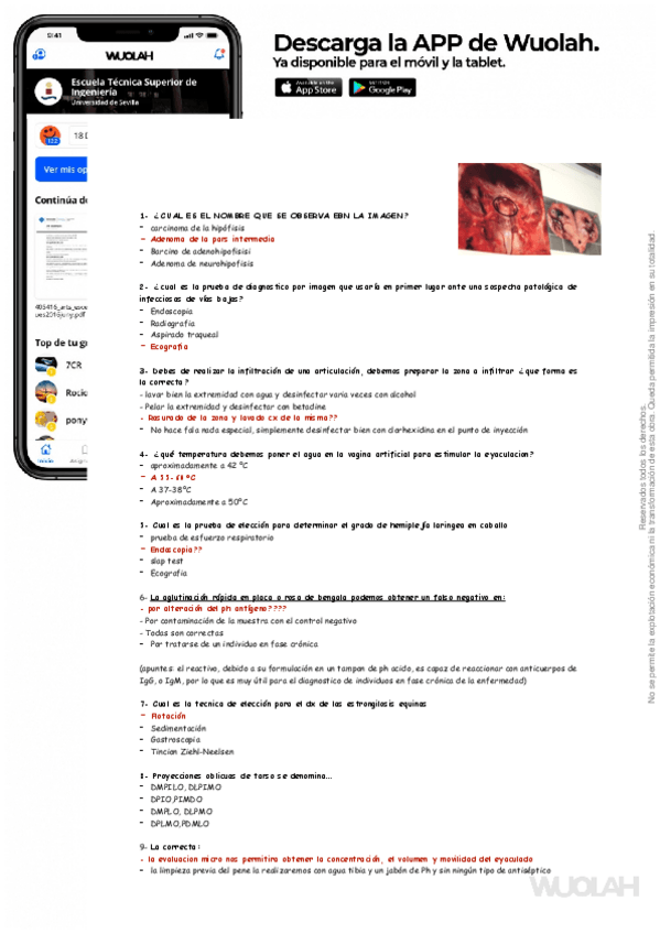 Miniatura del documento practica-clinica-equina-2020-2021.pdf