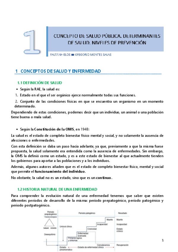 Miniatura del documento 1.pdf