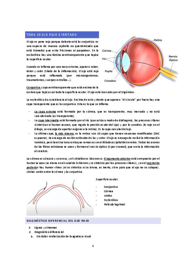 Miniatura del documento 29-y-30-OJO.pdf