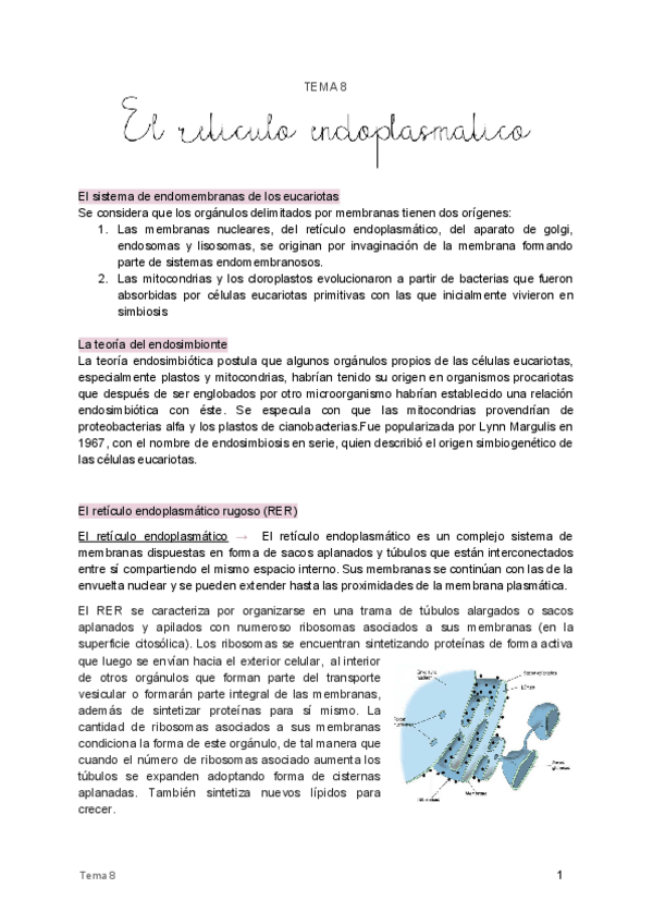 Miniatura del documento 8. El retículo endoplasmático