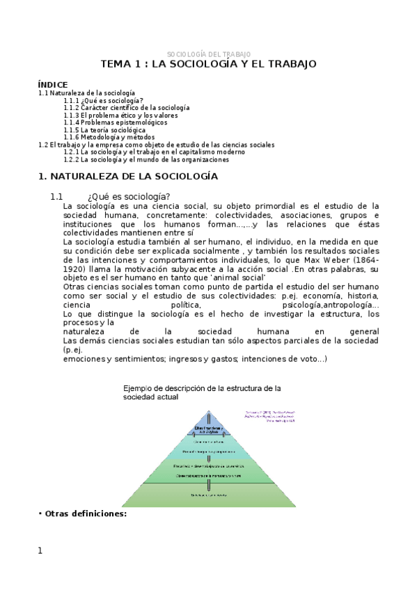 Miniatura del documento apuntes-t1-socio.docx