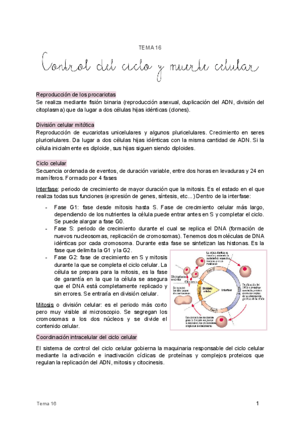 Miniatura del documento 16.pdf