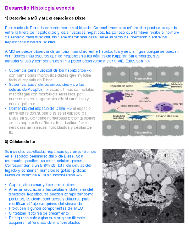 Miniatura del documento Desarrollo-Histologia-Especial.pdf