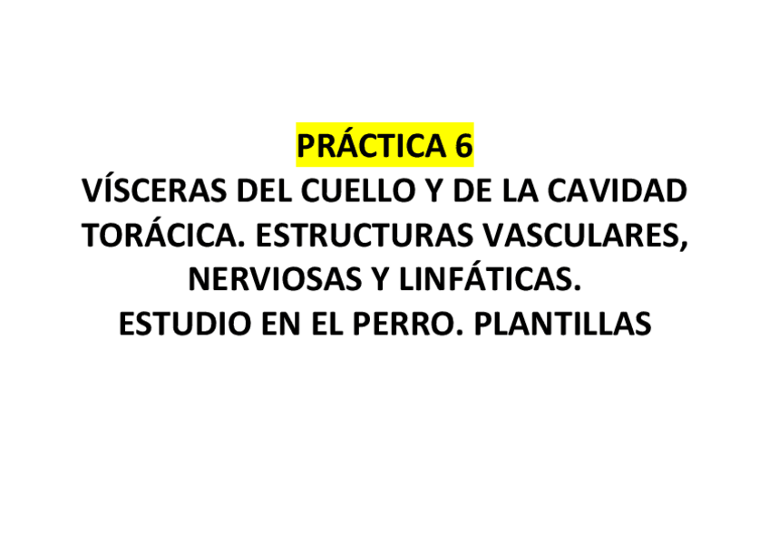Miniatura del documento PRACTICA-6.pdf