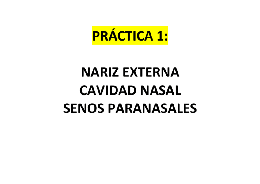 Miniatura del documento PRACTICA-1-.pdf