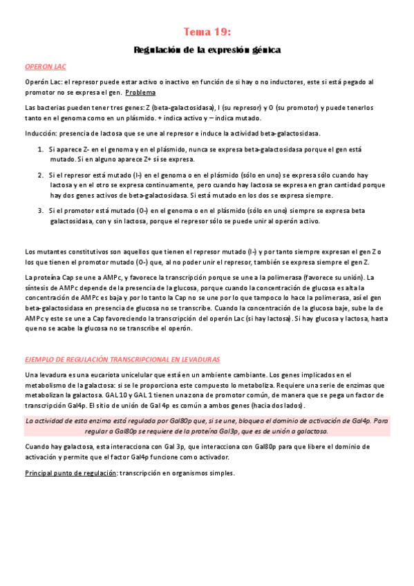 Miniatura del documento Tema-19.pdf