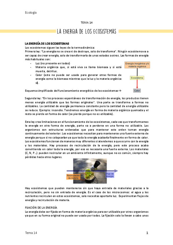 Miniatura del documento 14. La energía de los ecosistemas