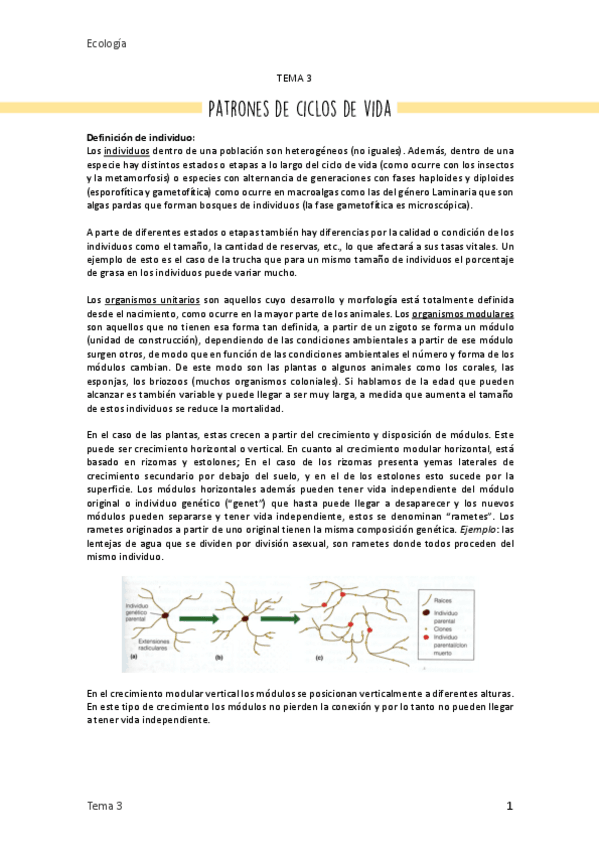 Miniatura del documento 3. Patrones de ciclos de vida