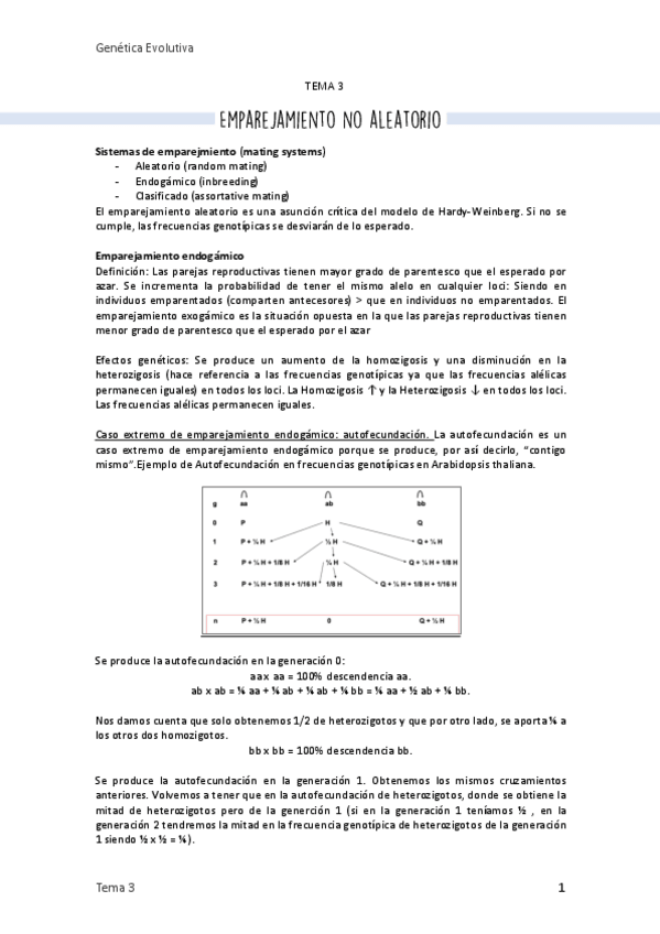 Miniatura del documento 3. Emparejamiento no aleatorio