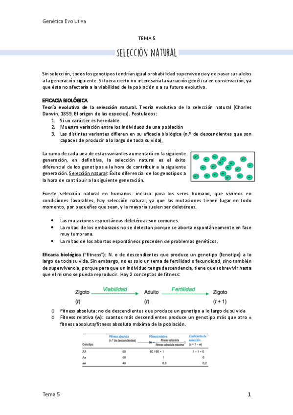 Miniatura del documento 5. Selección natural