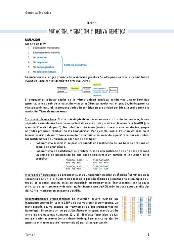 Miniatura del documento 4. Mutación migración y deriva genética