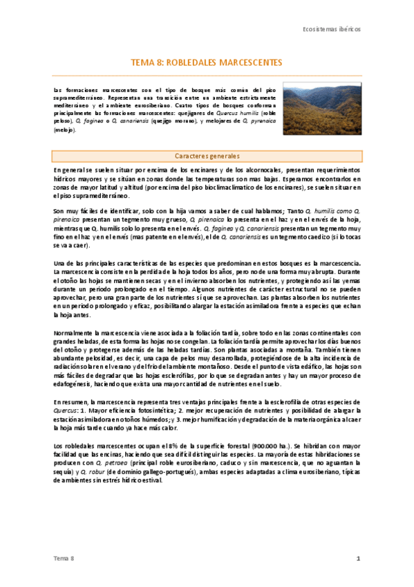 Miniatura del documento 8. Robledales marcescentes