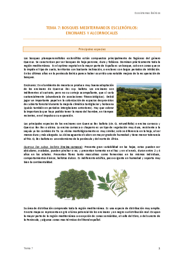 Miniatura del documento 7. Encinares y alcornocales