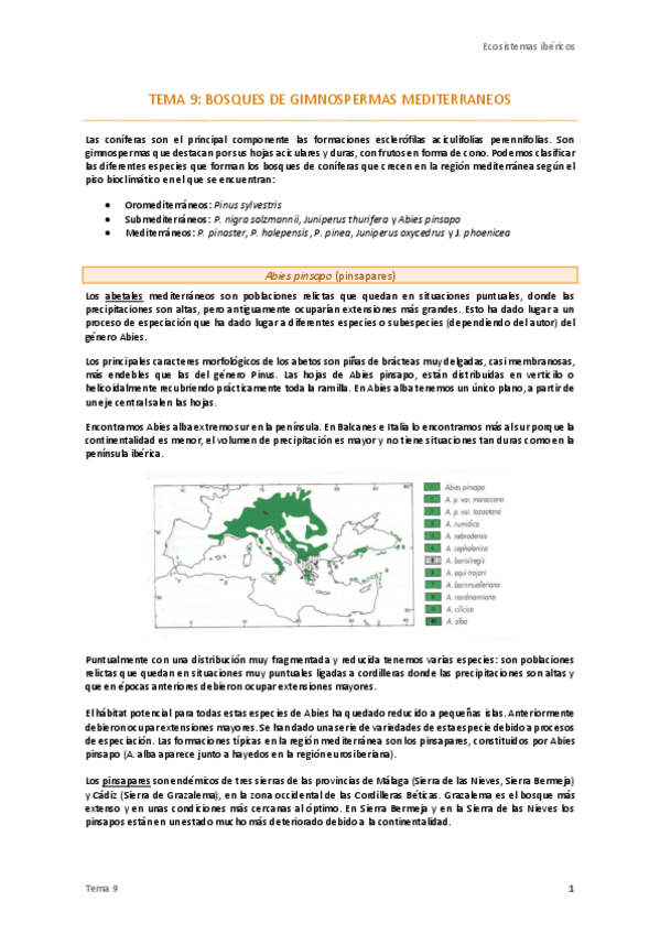 Miniatura del documento 9. Bosques de gimnospermas mediterráneos