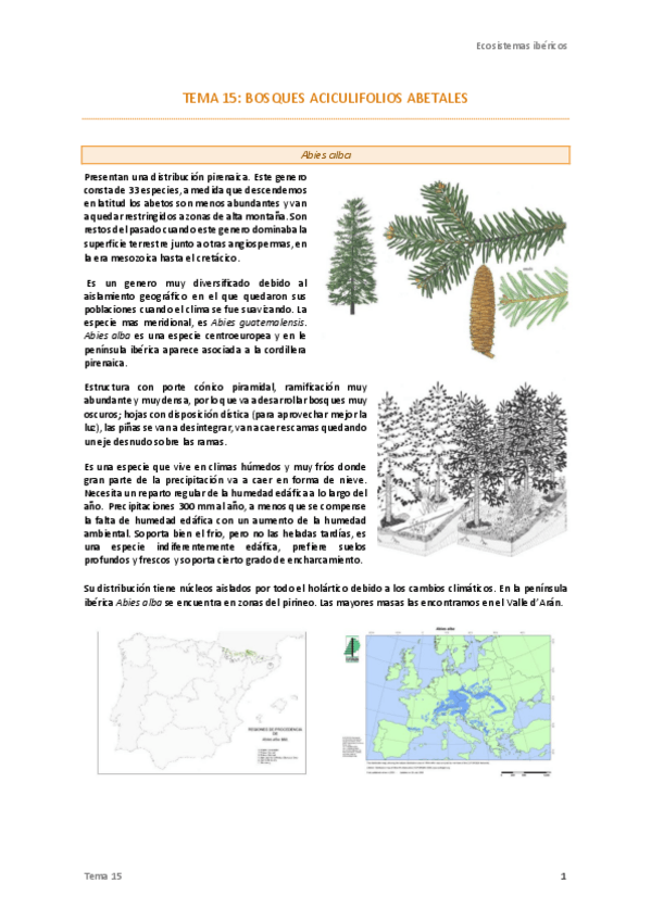 Miniatura del documento Tema-15-Ecos.pdf
