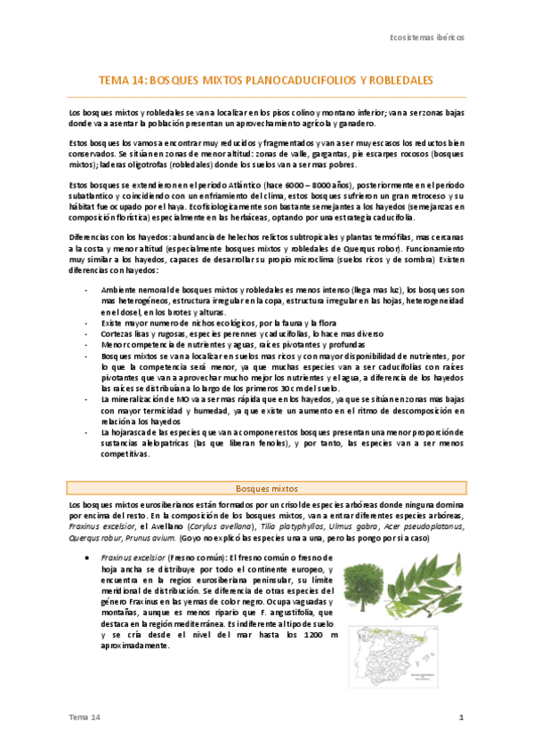 Miniatura del documento Tema-14-Ecos-.pdf