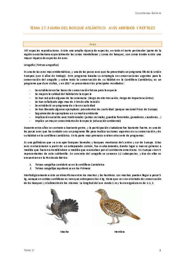 Miniatura del documento Tema-17-Ecos-.pdf
