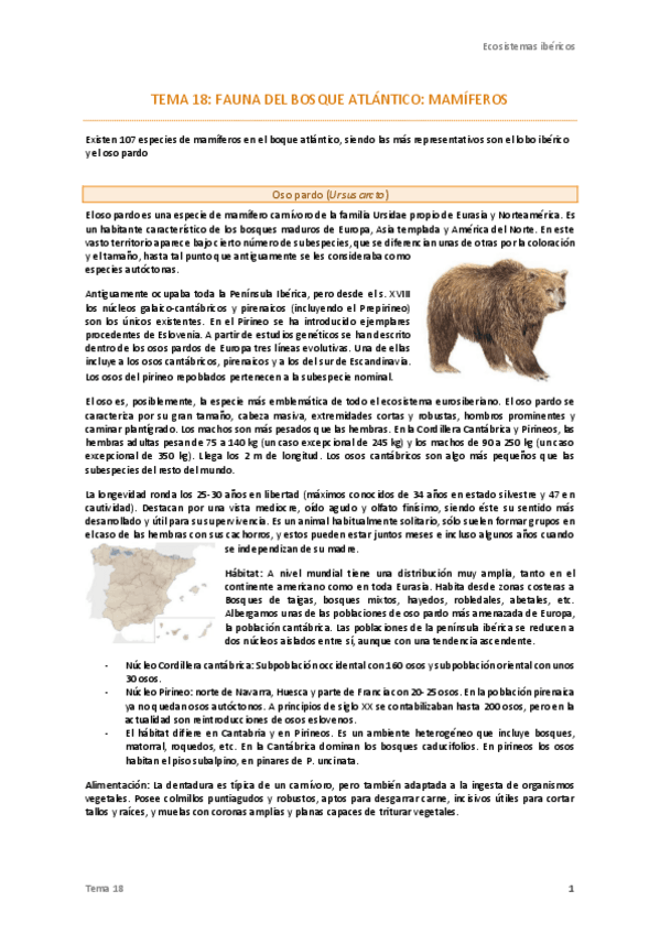 Miniatura del documento Tema-18-Ecos-.pdf
