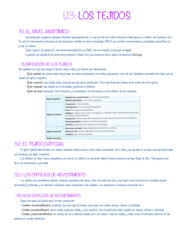 Miniatura del documento Tejidos-.pdf