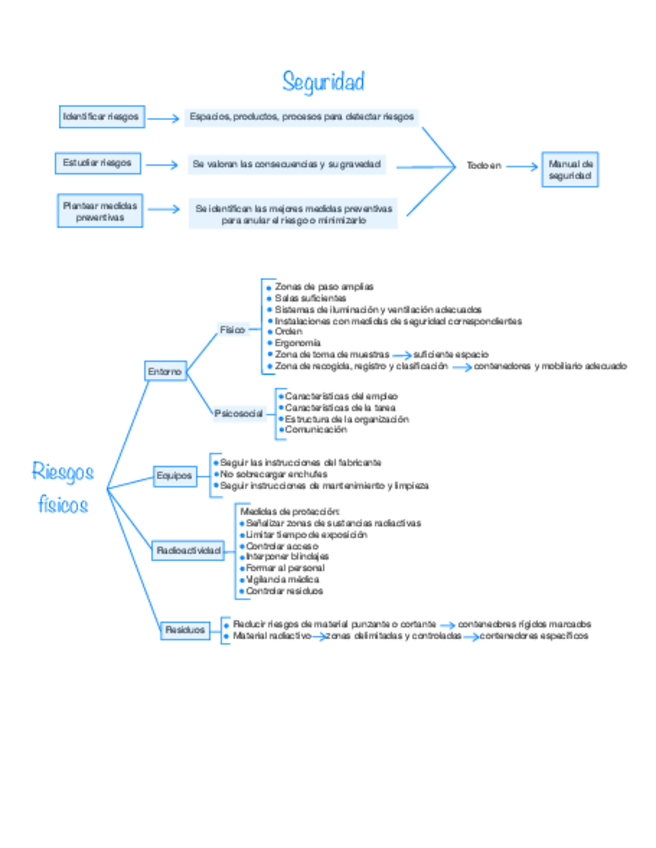 Miniatura del documento Seguridad-y-riesgos.pdf