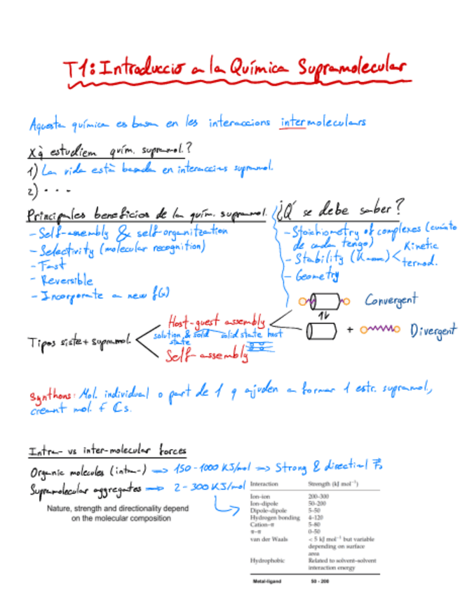 Miniatura del documento T1-Introduccio-a-la-Quimica-Supramolecular.pdf