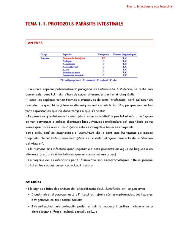 Miniatura del documento TOT-PARASITO.pdf