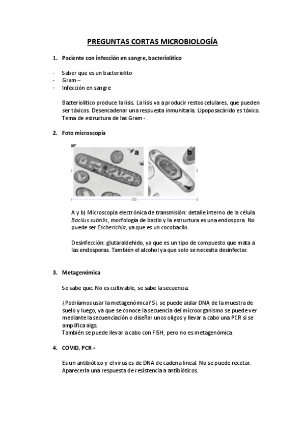 Miniatura del documento PREGUNTAS-CORTAS-MICROBIOLOGIA-1-copia.pdf