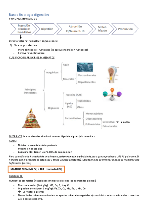 Miniatura del documento FISIOLOGIA-DE-LA-DIGESTION.pdf
