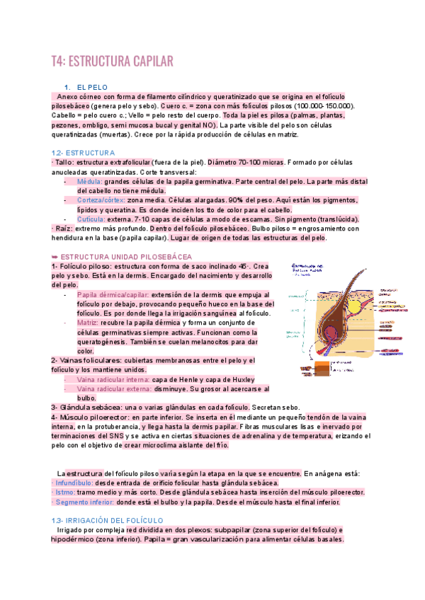 Miniatura del documento T4-dermo.pdf