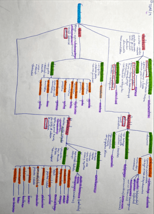 Miniatura del documento esquemas-de-zoo.pdf