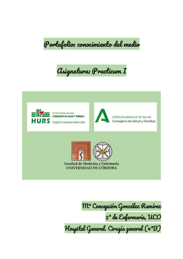 Miniatura del documento Portafolio-2-convertido.pdf